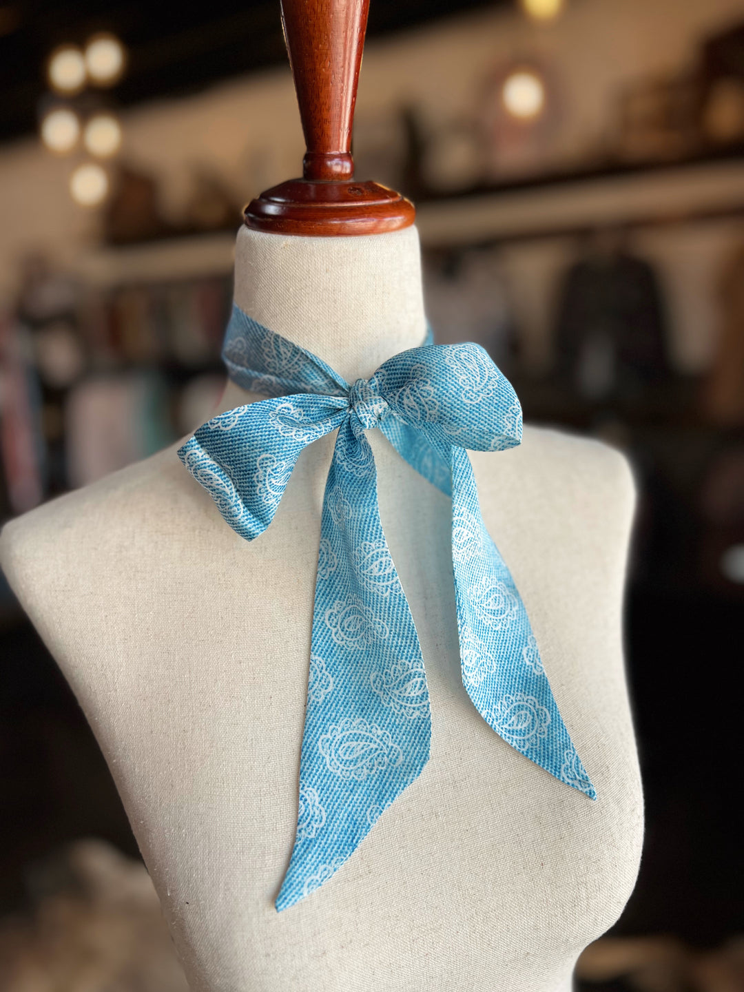 Denim Paisley Twilly